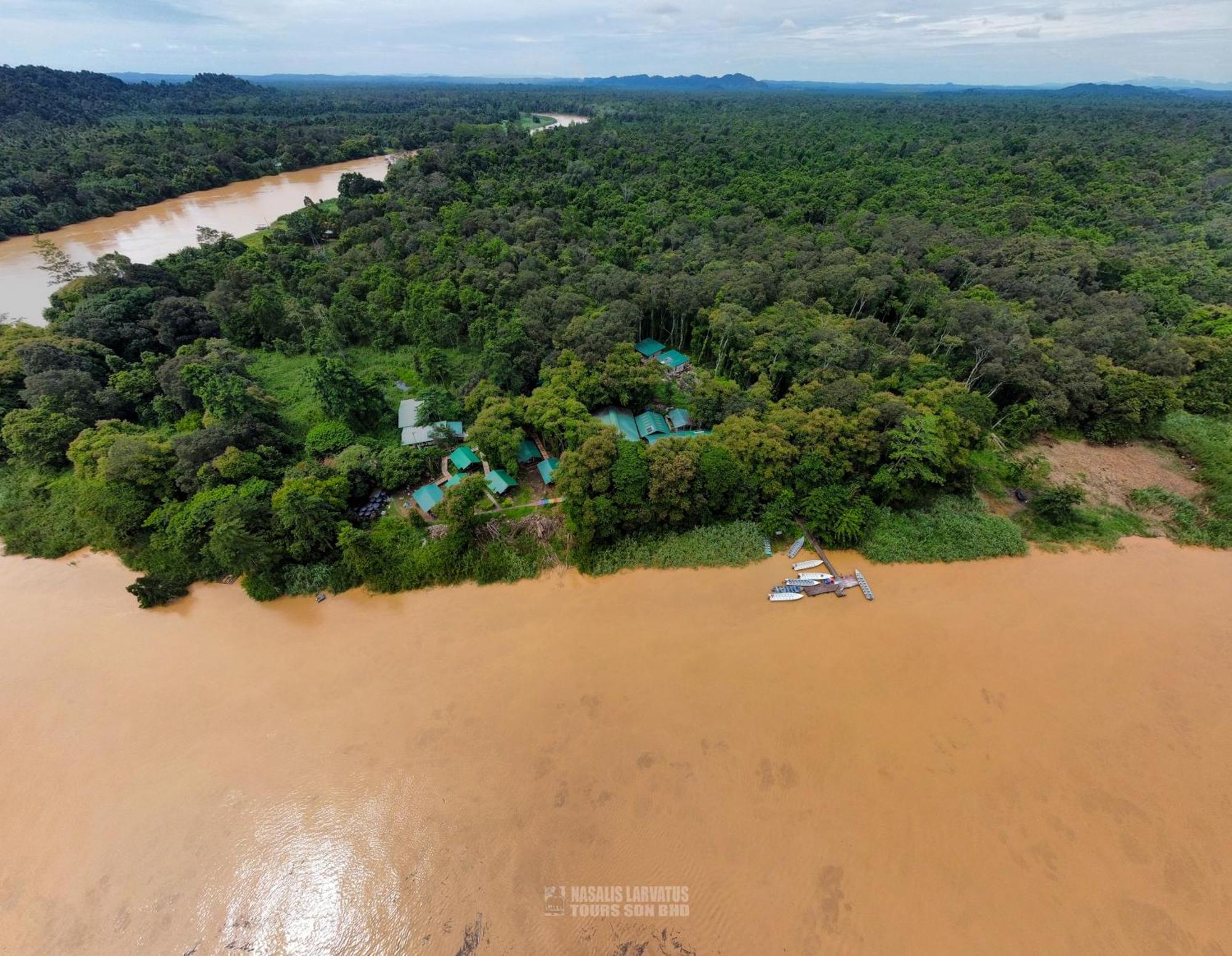 Tanini Kinabatangan Formerly Known As Nature Lodge Kinabatangan Bilit Eksteriør billede