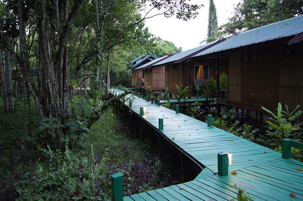 Tanini Kinabatangan Formerly Known As Nature Lodge Kinabatangan Bilit Eksteriør billede