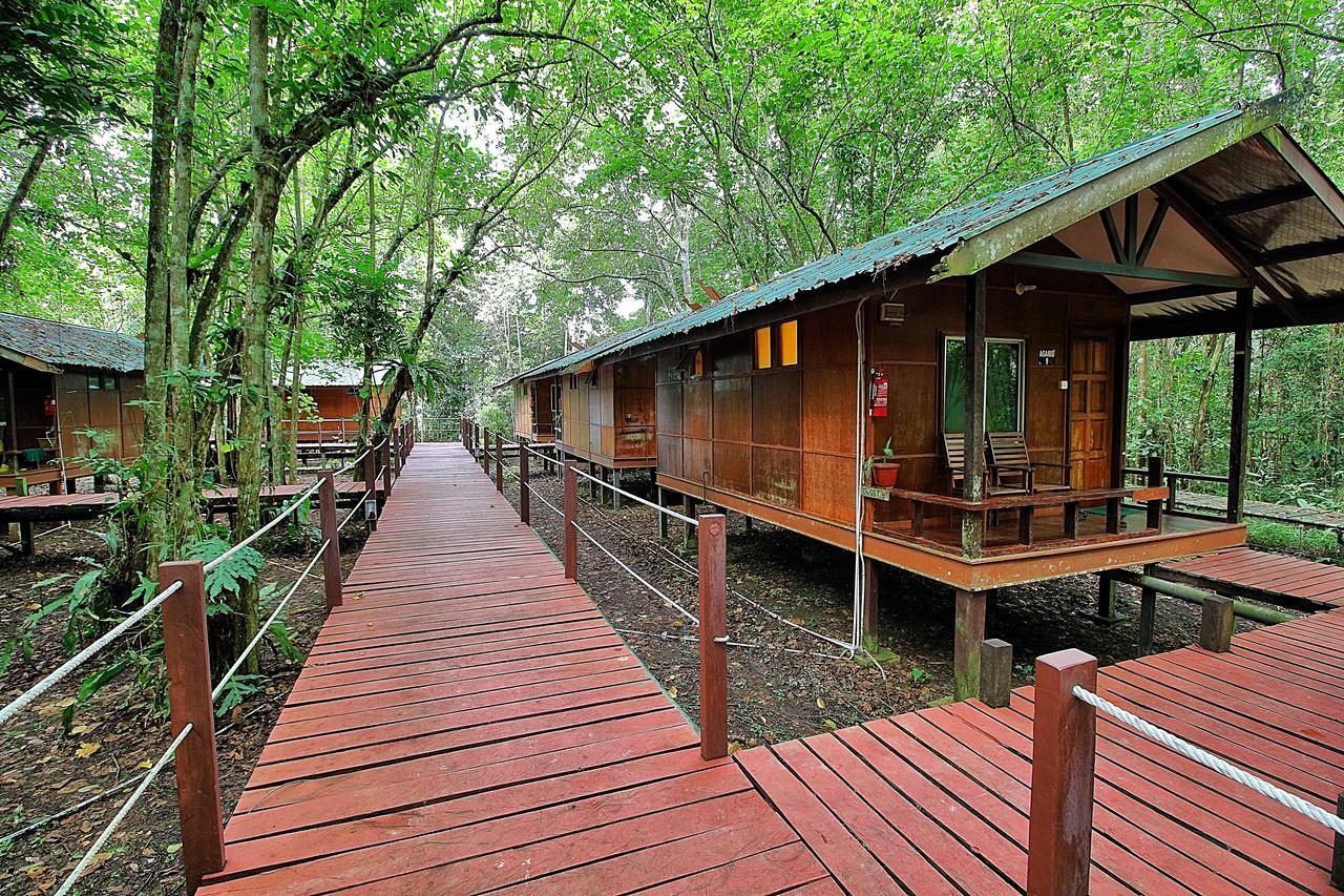 Tanini Kinabatangan Formerly Known As Nature Lodge Kinabatangan Bilit Eksteriør billede